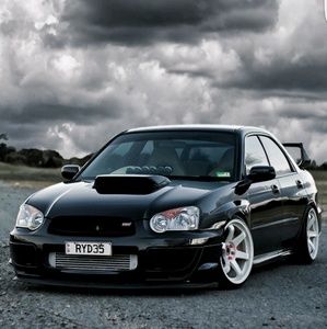 Meet your Posher, Logan